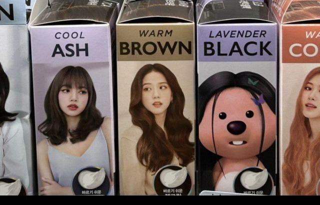 블랙핑크의 새로운 멤버