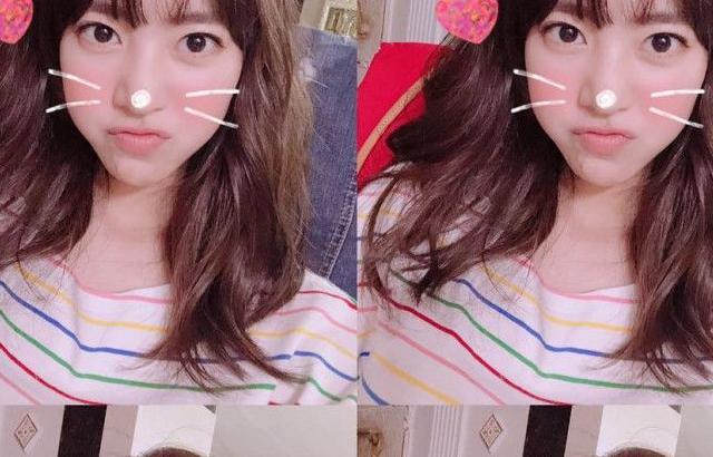 진세연