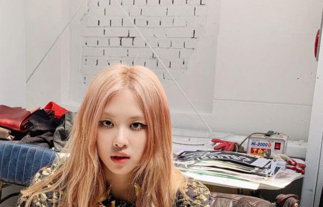 로제