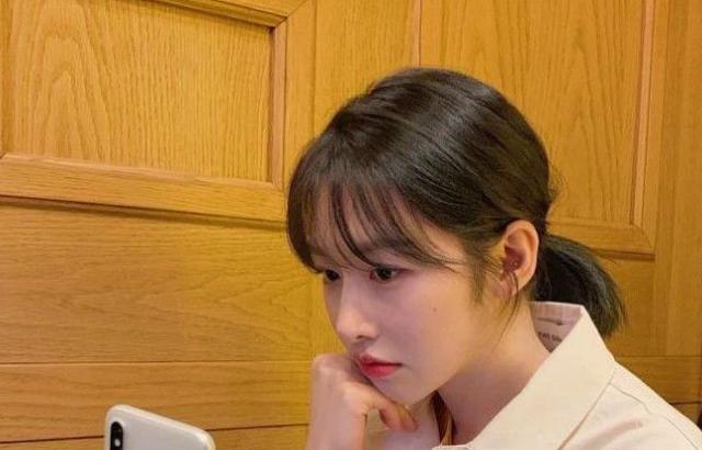 소나무 인스타