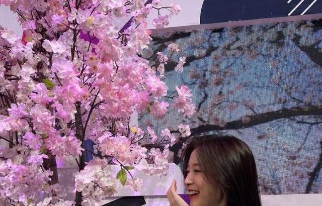 OH MY GIRL Arin