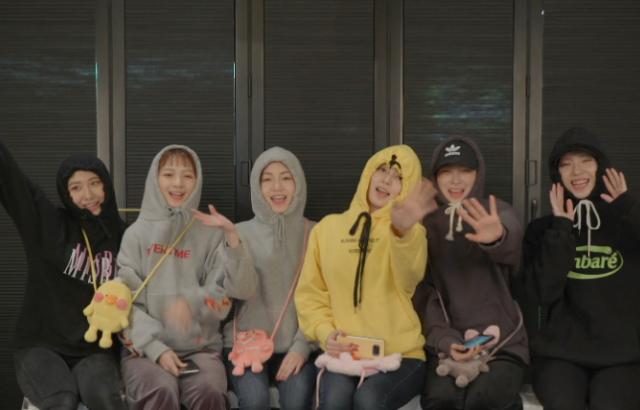 계란펀치