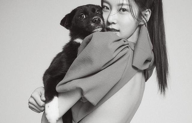 공승연
