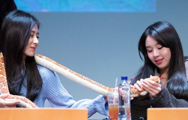 트와이스 채영,쯔위