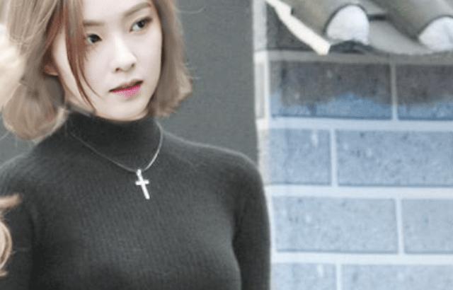 아이린 화사 퓨전