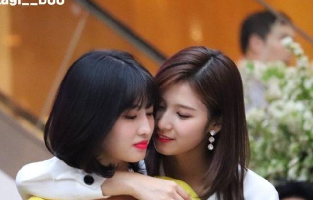 항상 붙어있는 사나 모모