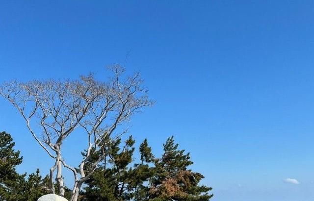 스테이씨 배수민
