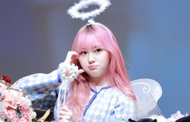 케플러 김채현