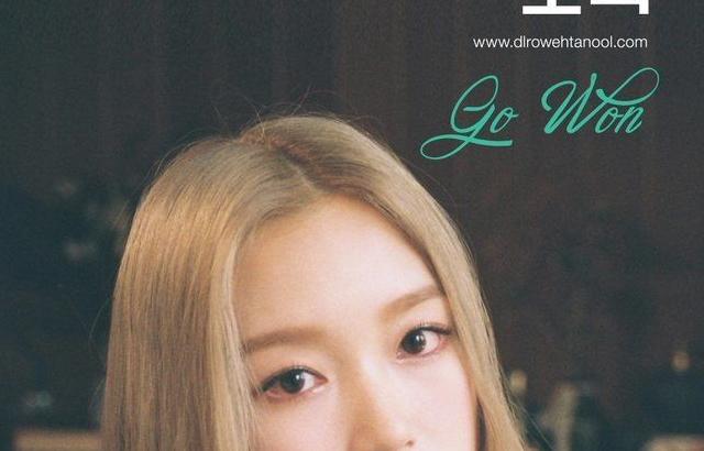 고원 생일 기념 업로드