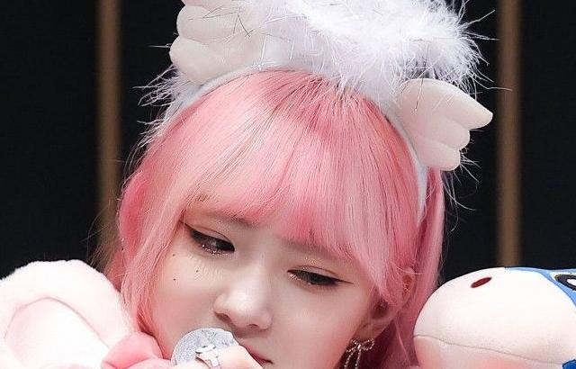 케플러 김채현