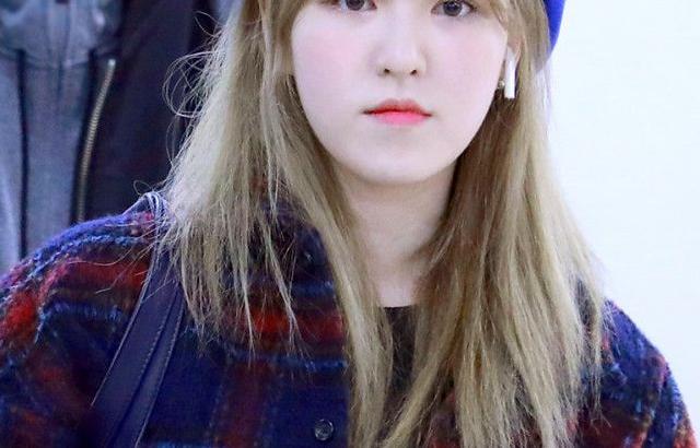 레드벨벳 웬디