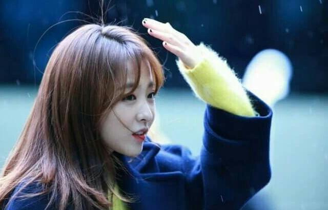 박보영