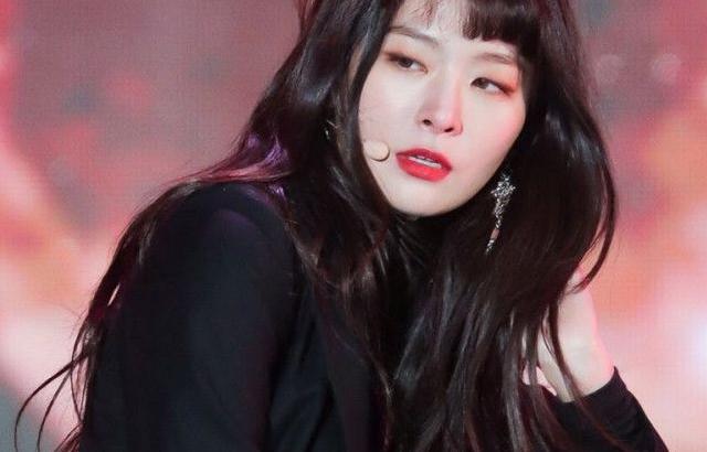 레드벨벳 슬기