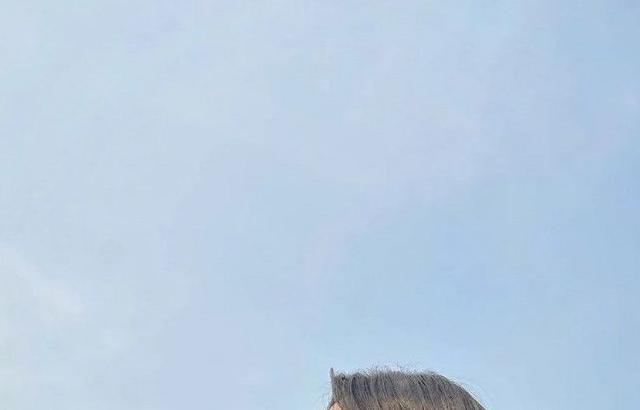 (G)I-DLE Soyeon