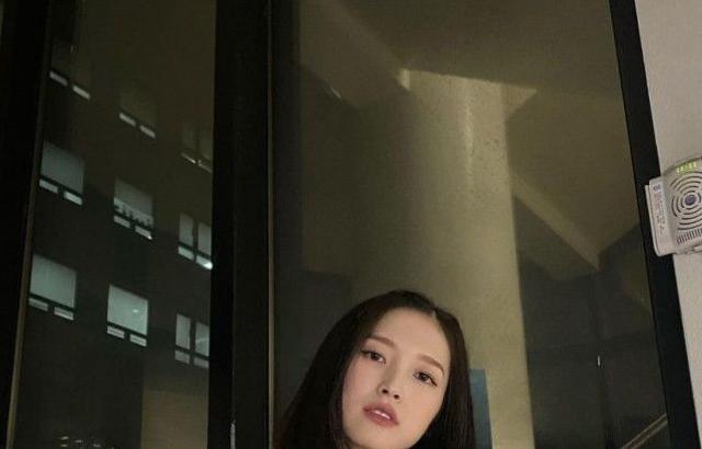 검정 시스루 아린