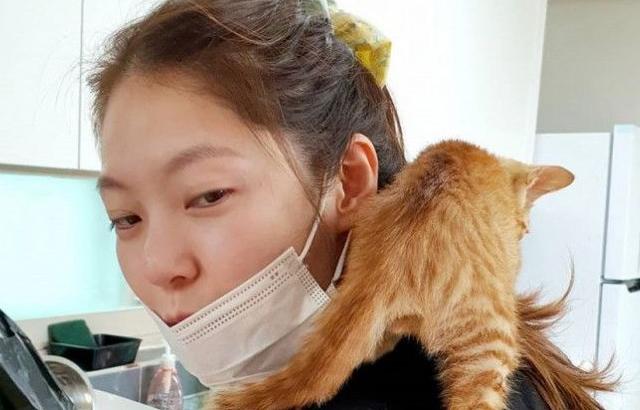 냥냥이와유자매