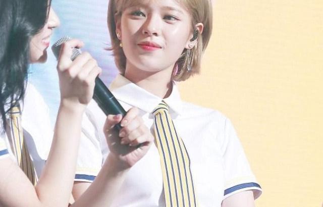정연