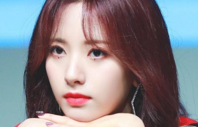 보나 최근