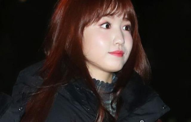 혼다 히토미, 놀란 토끼