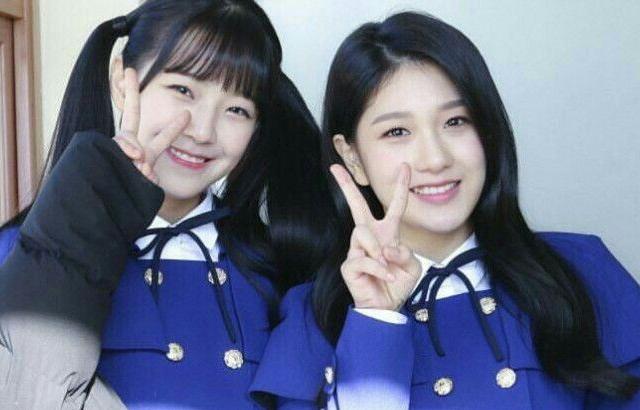 프로미스나인 백지헌