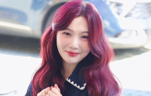 레드벨벳 조이