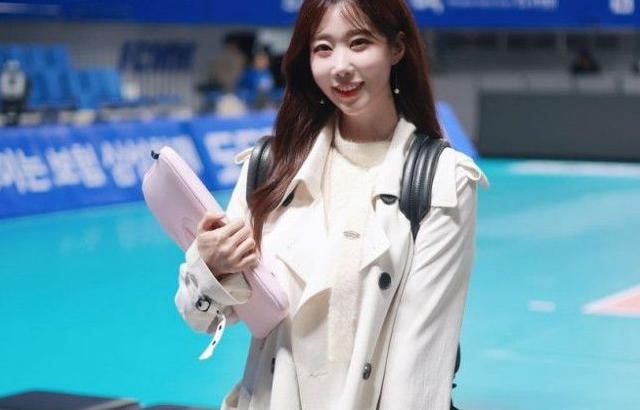 진달래 아나운서