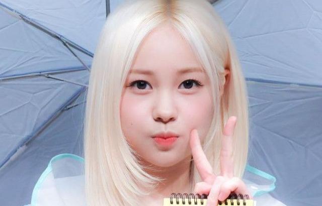 위클리 지한
