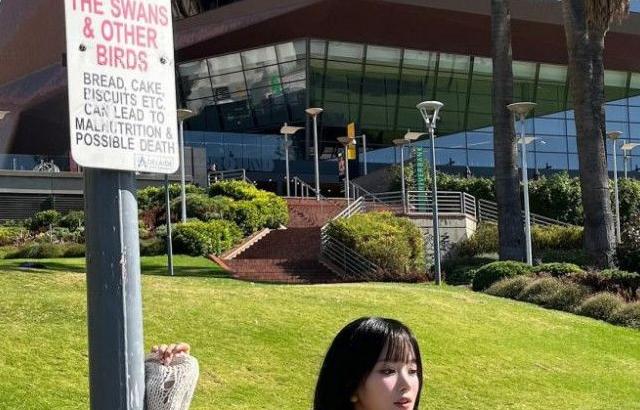 하이키 서이