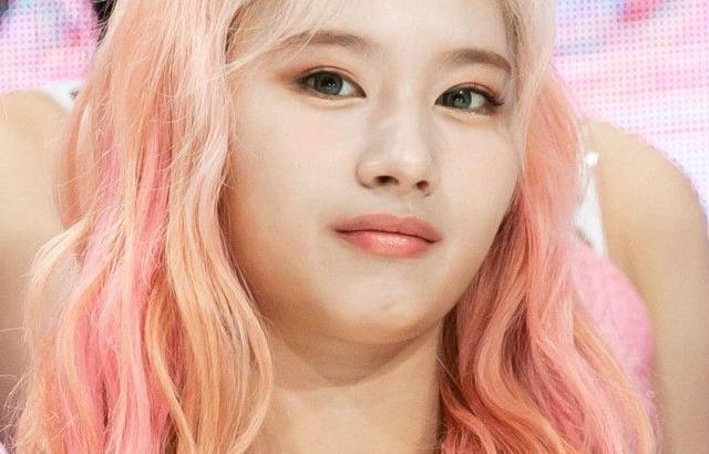 트와이스 사나