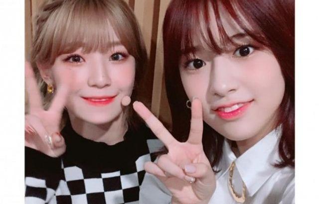 친구생겨서 기분좋은 꿀깅이