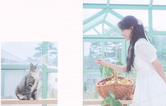 트와이스 지효