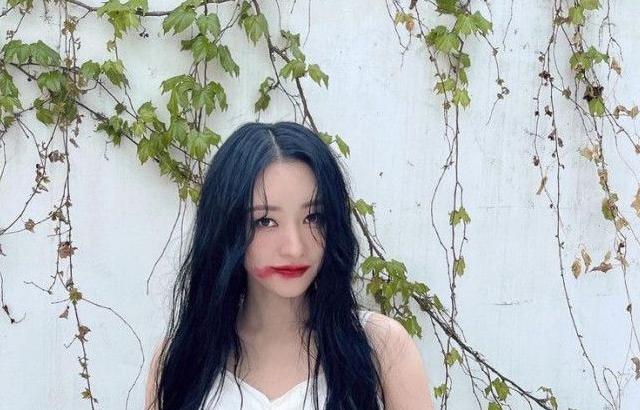 드림캐쳐 수아