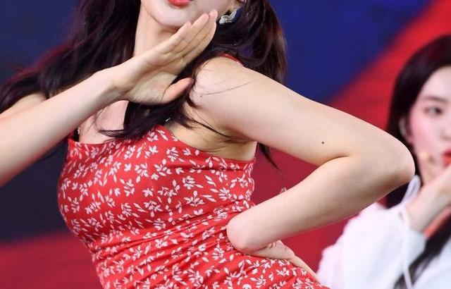 레드벨벳 조이