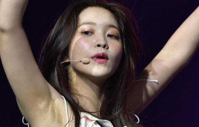 레드벨벳 예리