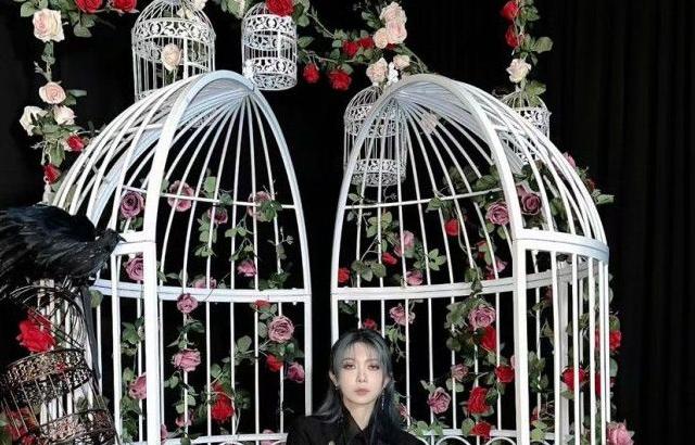 드림캐쳐 다미