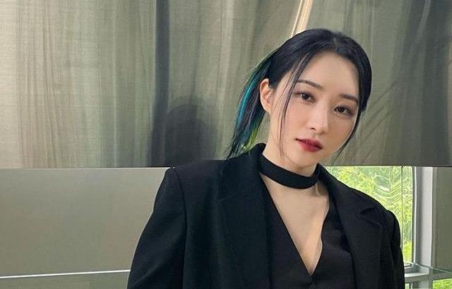드림캐쳐 수아