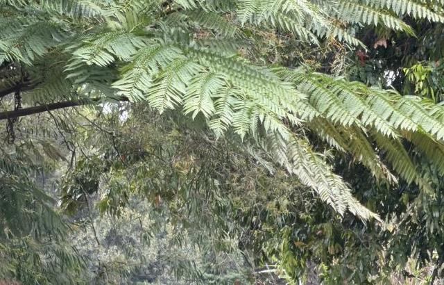 신비 VIVIZ비비지 인별