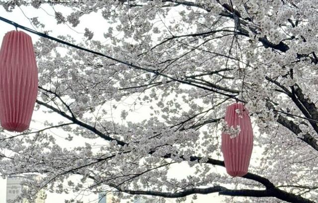 남윤선 기상캐스터