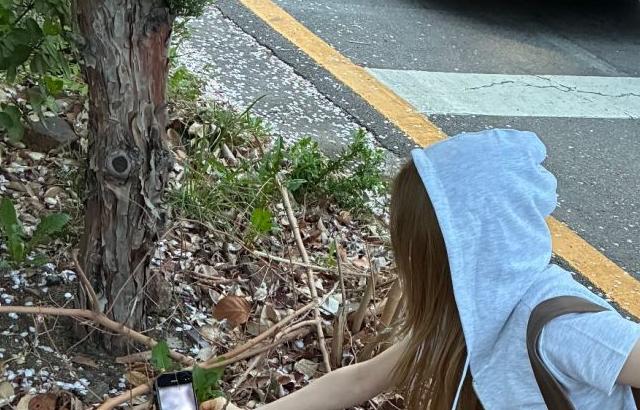 임나영 김청하 김세정 정채연 김소혜 유연정 최유정 김도연 전소미 아이오아이